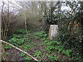 Trig point by Clarkes Lane in NR33 8HX