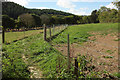 Fenced path to Old Liverton in TQ12 6HZ