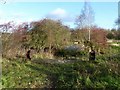 Remains of bridge over the Cromford Canal in Jacksdale and Westwood