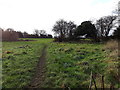 Well-used footpath heading south-west from Rectory Lane in WS15 4BF