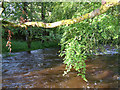River Ardle in flood in PH10 7PG