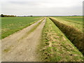Farm Track in DN36 5SE