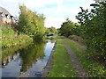 A short stretch of the Daw End Branch Canal in WS9 8RA