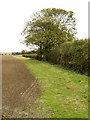 Farmland Track in Covenham St. Bartholomew