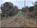 The lane to the house in the caravan site in LL54 5TJ