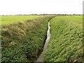 Roadside Ditch in South Cockerington