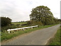 Roadside Fence and Tree in South Cockerington