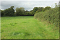 Meadow near Paradise in BS40 8RT