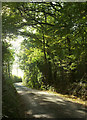 Lane to Leigh Cross in EX6 7BW