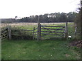 Access to Weelsby Woods in DN32 8PY