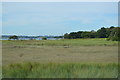 Marshes, Stour Estuary in Stour Ward