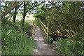 Footbridge, Stour and Orwell Walk in Stour Ward