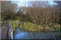 Boardwalk across marsh area, Alver Valley Country Park in PO13 8FH