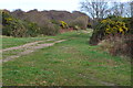 Track with gorse bushes, Browndown in PO13 8GN