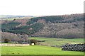 Hillside below Marrick in DL11 7LH