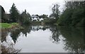 Pond beside Broompark Drive in Newton Mearns