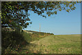 Field boundary by Lembury Road in TQ9 6TF