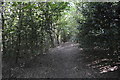 Path, Stanmore Country Park in HA7 4PT