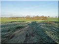 Farm land off White Heath Road, Thurton in Bergh Apton
