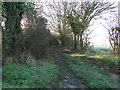 Track off White Heath Road, Thurton in Bergh Apton