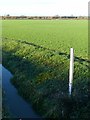 Flood level gauge, Marsh Drain, Kellington in DN14 0NR