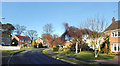 Houses on Conifer Crest in RG20 0LP