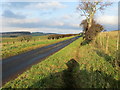 Minor road near Bankhead in Kelso and District Ward