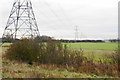 Line of pylons near Soham in CB7 5EL