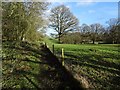 Path beside Berrington Wood in HR8 1JQ