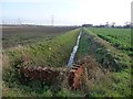 Drain in winter, east of Sudforth Lane in DN14 0TD