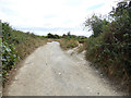 Fork in a farm track in PL26 6BH