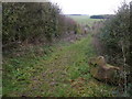 Bridleway, Fyfield Hill in SN8 1PU