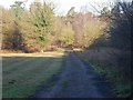 Looking towards exit of forest road 154 in Bedingfeld Ward