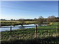 River Nene flowing nicely in NN29 7TL