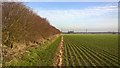 Farmland between Keelby and Stallingborough in DN37 8DP