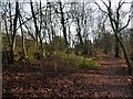 Woodland path at the west end of Chellow Dean in BD9 6FB