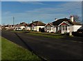 Bungalows on Sandhurst Road in BA22 9HG