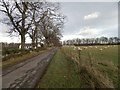 Minor road to Balvonie of Inshes in IV2 5JP