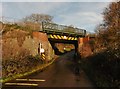 Rail bridge near Hyde Farm in BA22 9FF