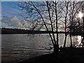 Waters edge, Sutton Bingham Reservoir in Closworth