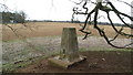 Trig point at Wyck Beacon, Wyck Rissington in GL54 2NX