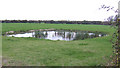 Pond in a field in CB6 3XD