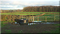 Farmland and trough, Cayton Grange in HG3 3LY