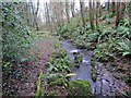 Llwybr glan nant / stream side path in SA19 6YZ