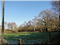 Meadow beside Cess Road in NR29 4PS