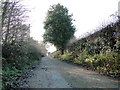A track which is Burgh Wood Road at Rollesby in NR29 3LP