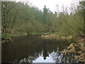 Ogden Water: lower lagoon in Ogden Clough in HX2 8YD