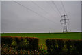 Taunton Deane : Grassy Field & Pylon in TA4 1NW