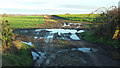 Puddles and farmland by Knaresborough Road in HG3 3QX