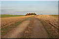 Farm track near Keisby House in Lenton Keisby and Osgodby